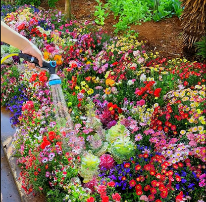BlomsterMix™ Blomsterfrø i 30 forskellige sorter