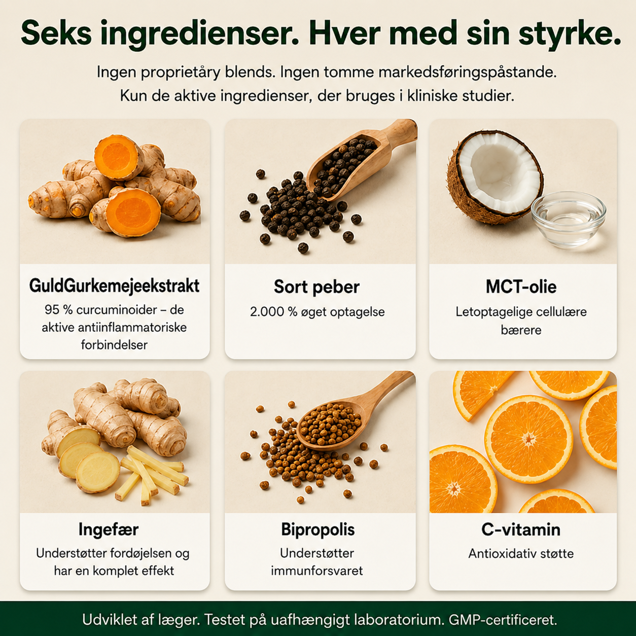 GuldGurkemeje™ Curcumin 95