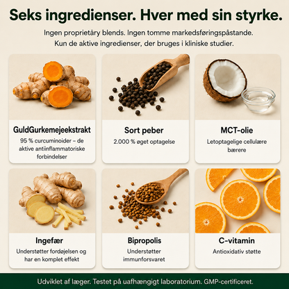 GuldGurkemeje™ Curcumin 95