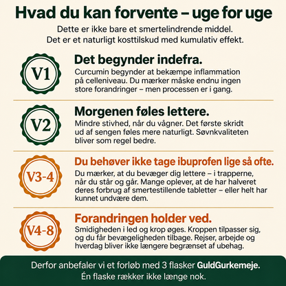 GuldGurkemeje™ Curcumin 95