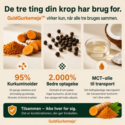 GuldGurkemeje™ Curcumin 95