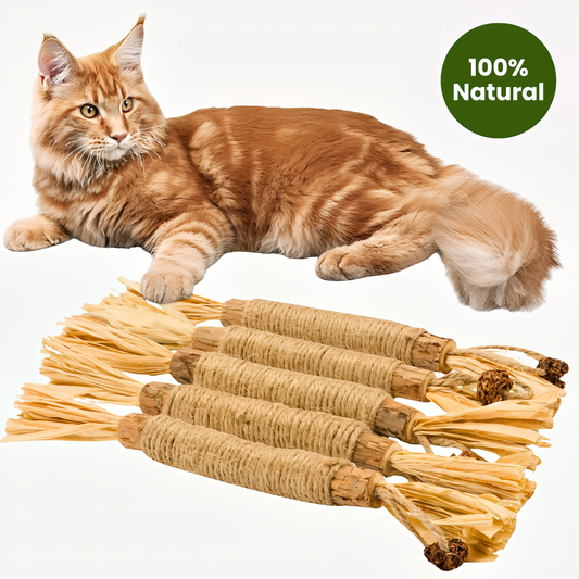 KatLykke™ 5 Stk. Naturlige Silvervine Tyggepinde
