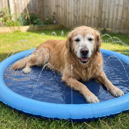 SplashPaw™ | Kølende Sprinklermåtte til Hunde