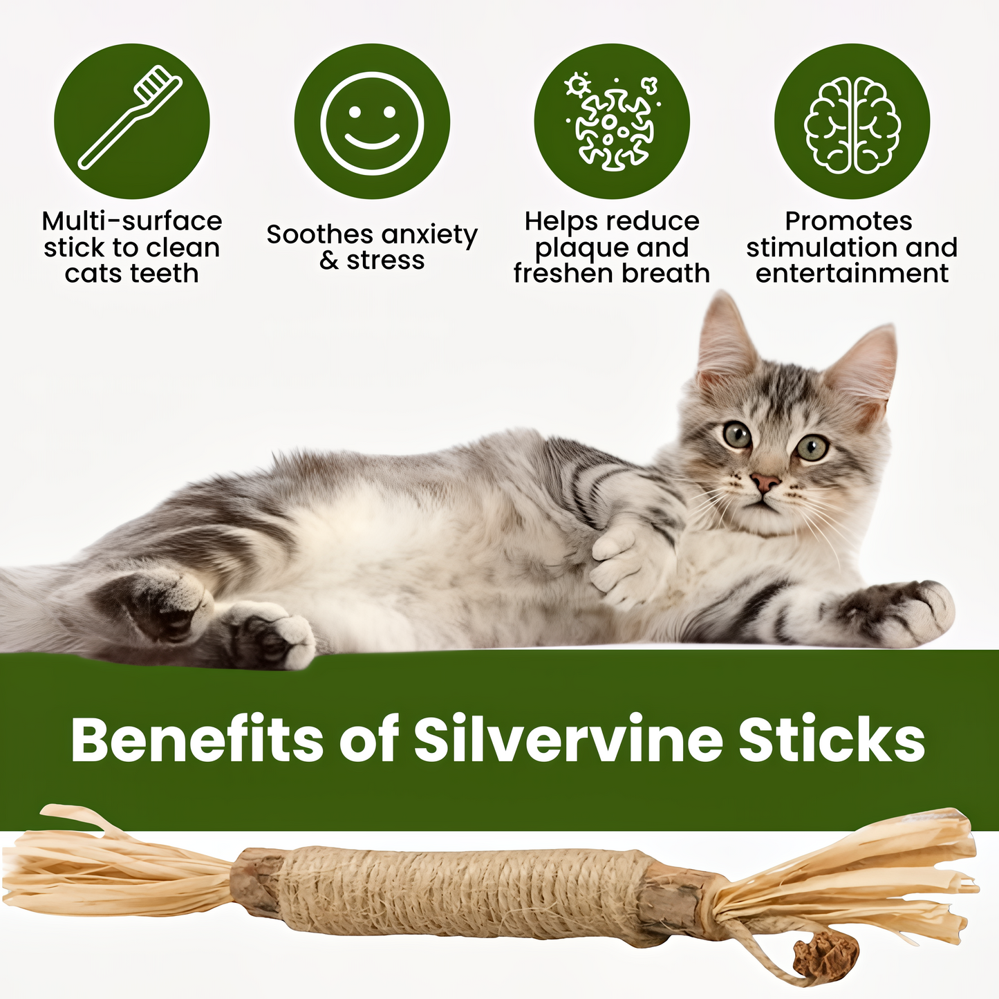 KatLykke™ 5 Stk. Naturlige Silvervine Tyggepinde