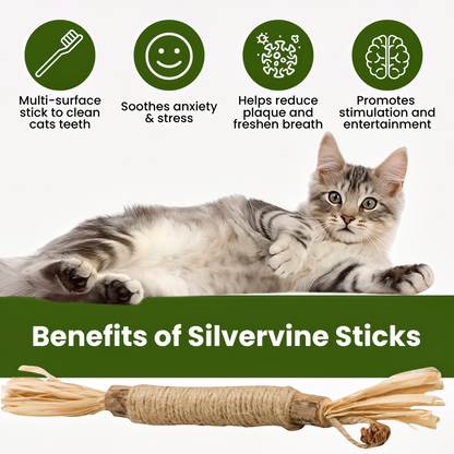 KatLykke™ 5 Stk. Naturlige Silvervine Tyggepinde