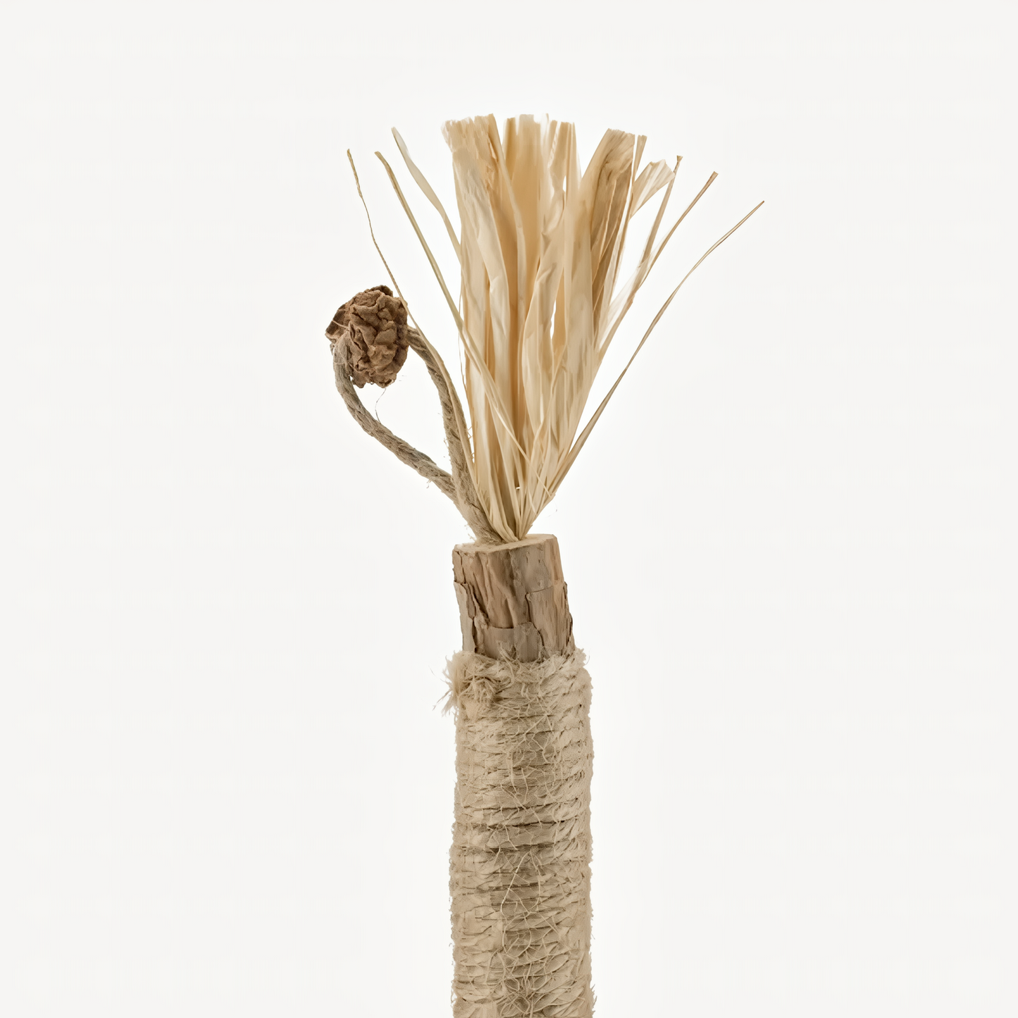 KatLykke™ 5 Stk. Naturlige Silvervine Tyggepinde