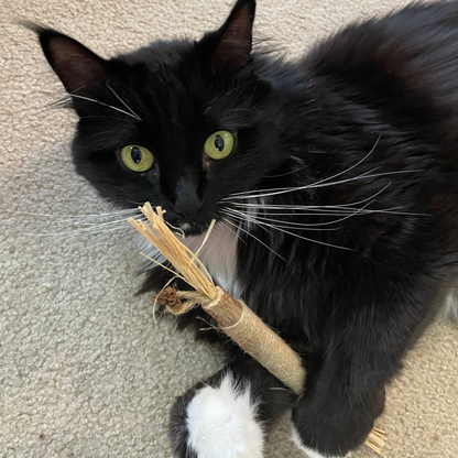 KatLykke™ 5 Stk. Naturlige Silvervine Tyggepinde